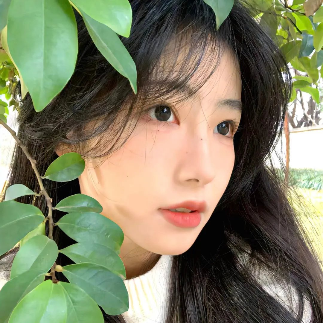 冬天没有童话